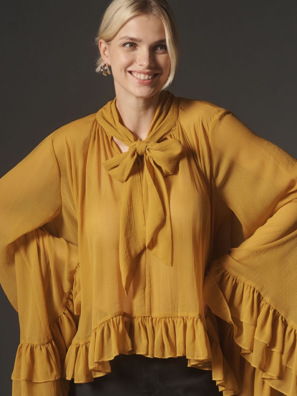 Let me Be Sheer Tie Neck Ruffle Blouse NWT